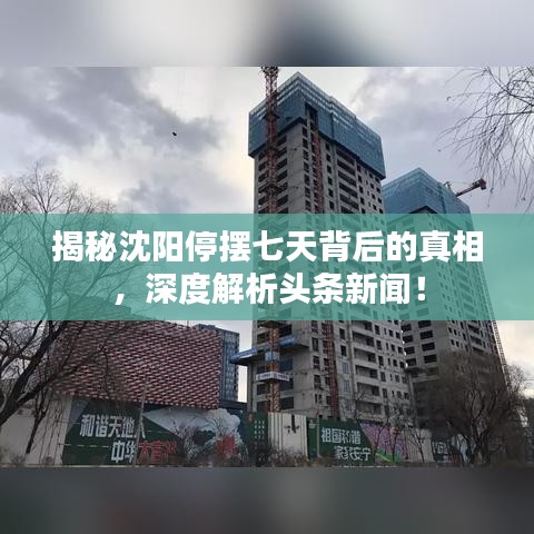 揭秘沈阳停摆七天背后的真相，深度解析头条新闻！