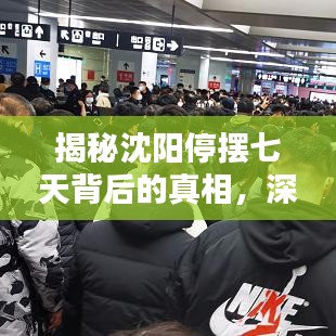 揭秘沈阳停摆七天背后的真相,深度解析头条新闻!