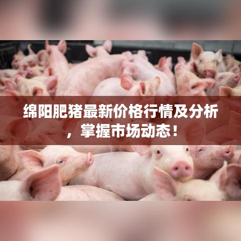 绵阳肥猪最新价格行情及分析，掌握市场动态！