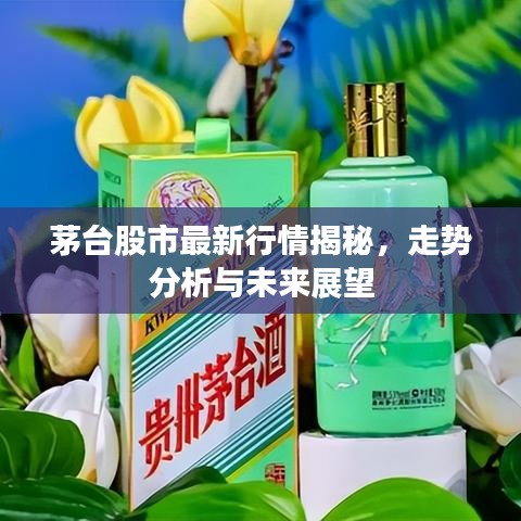 茅台股市最新行情揭秘，走势分析与未来展望