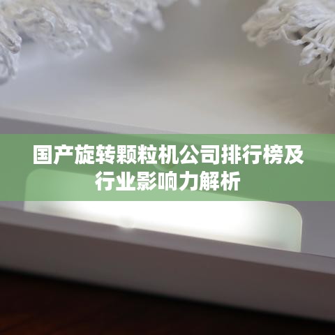 国产旋转颗粒机公司排行榜及行业影响力解析