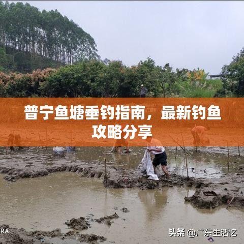 普宁鱼塘垂钓指南，最新钓鱼攻略分享