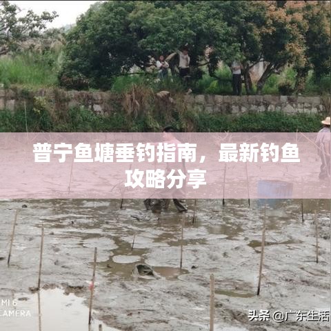 普宁鱼塘垂钓指南,最新钓鱼攻略分享