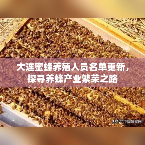 大连蜜蜂养殖人员名单更新，探寻养蜂产业繁荣之路