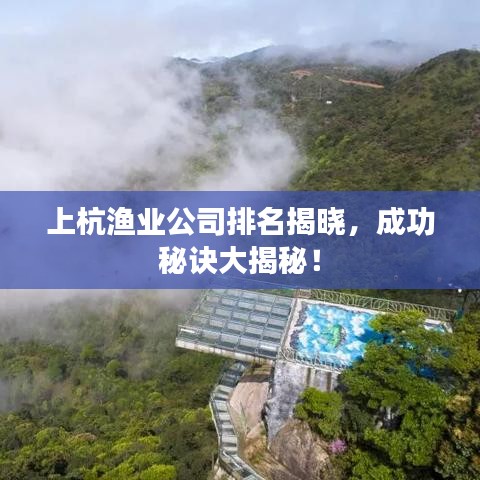 上杭渔业公司排名揭晓，成功秘诀大揭秘！