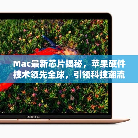 寥寥无几 第6页