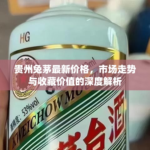 贵州兔茅最新价格，市场走势与收藏价值的深度解析