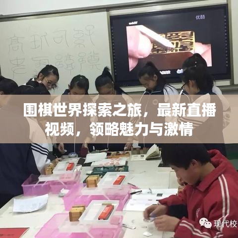围棋世界探索之旅，最新直播视频，领略魅力与激情