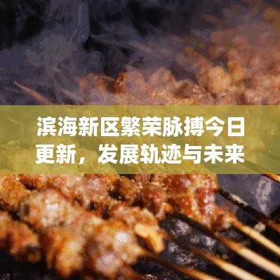 滨海新区繁荣脉搏今日更新，发展轨迹与未来展望