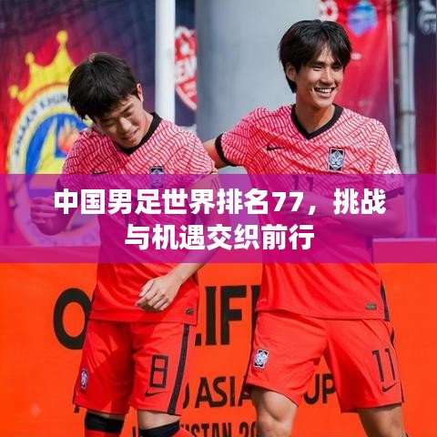 中国男足世界排名77，挑战与机遇交织前行