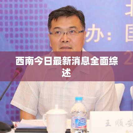 西南今日最新消息全面综述