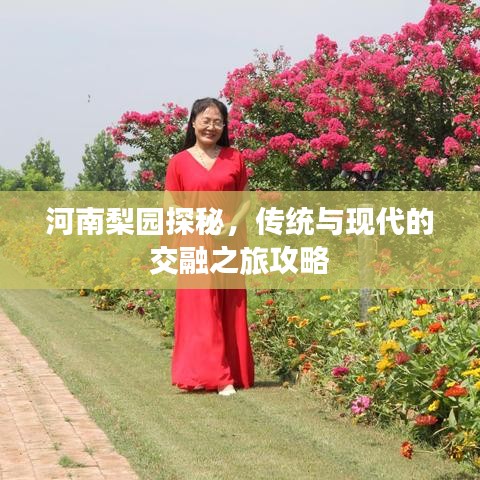河南梨园探秘,传统与现代的交融之旅攻略