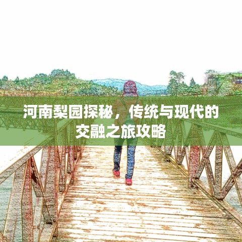 河南梨园探秘,传统与现代的交融之旅攻略