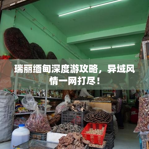 瑞丽缅甸深度游攻略，异域风情一网打尽！