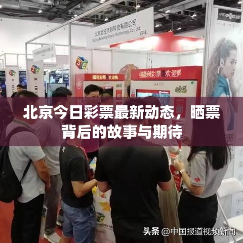 北京今日彩票最新动态，晒票背后的故事与期待