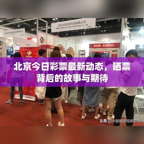 北京今日彩票最新动态,晒票背后的故事与期待