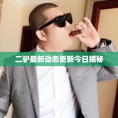 二驴最新动态更新今日揭秘