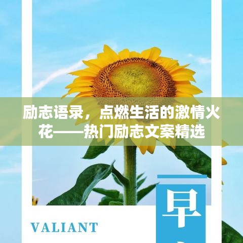 励志语录,点燃生活的激情火花——热门励志文案精选