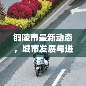 铜陵市最新动态，城市发展与进步的步伐更新