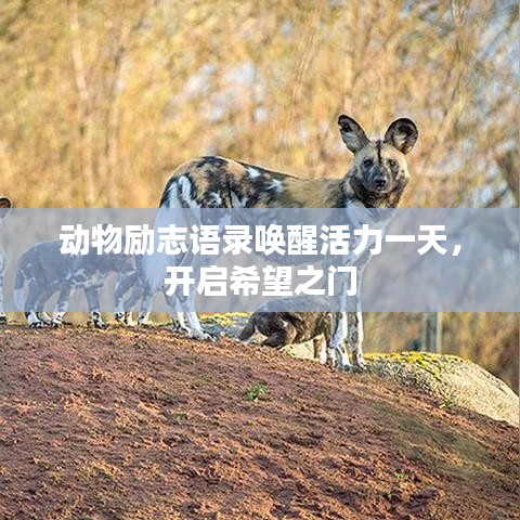 改弦易张 第6页