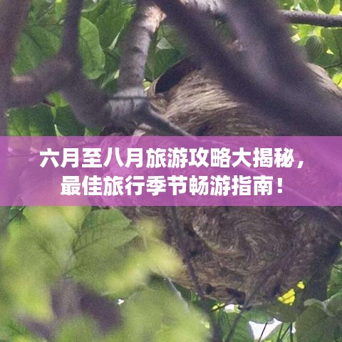六月至八月旅游攻略大揭秘，最佳旅行季节畅游指南！