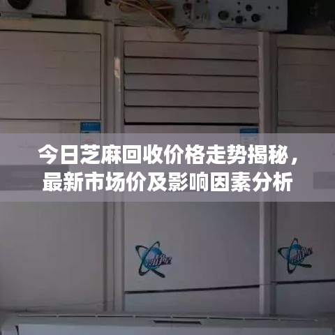 今日芝麻回收价格走势揭秘，最新市场价及影响因素分析