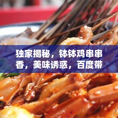 独家揭秘,钵钵鸡串串香,美味诱惑,百度带你探寻!