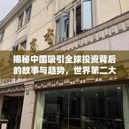 揭秘中国吸引全球投资背后的故事与趋势，世界第二大外商投资排名中国揭晓