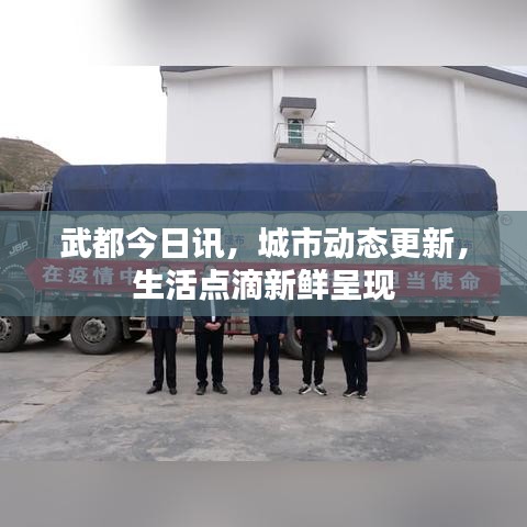武都今日讯，城市动态更新，生活点滴新鲜呈现