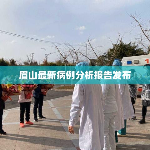 眉山最新病例分析报告发布