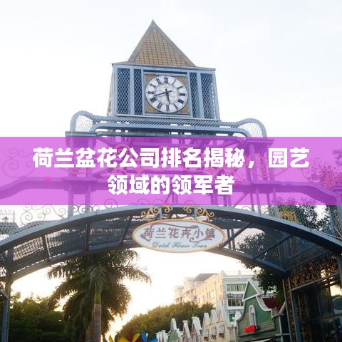 荷兰盆花公司排名揭秘,园艺领域的领军者