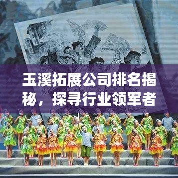 玉溪拓展公司排名揭秘，探寻行业领军者的成功奥秘