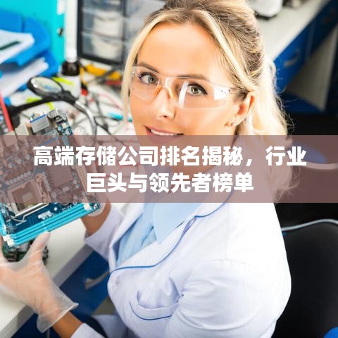 高端存储公司排名揭秘，行业巨头与领先者榜单