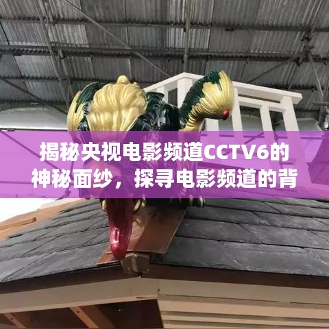 揭秘央视电影频道CCTV6的神秘面纱,探寻电影频道的背后故事