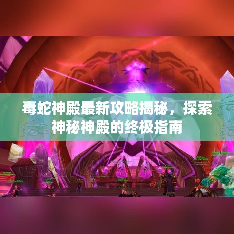 毒蛇神殿最新攻略揭秘，探索神秘神殿的终极指南