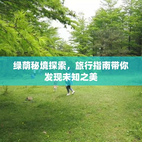 绿荫秘境探索，旅行指南带你发现未知之美