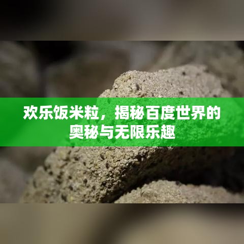 欢乐饭米粒，揭秘百度世界的奥秘与无限乐趣