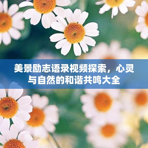 美景励志语录视频探索，心灵与自然的和谐共鸣大全
