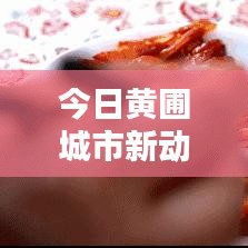 今日黄圃城市新动态与生活点滴速递