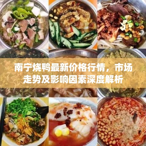 南宁烧鸭最新价格行情，市场走势及影响因素深度解析