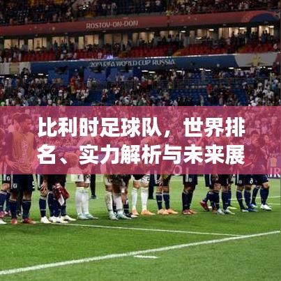 比利时足球队,世界排名、实力解析与未来展望探究