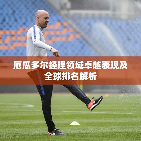 厄瓜多尔经理领域卓越表现及全球排名解析