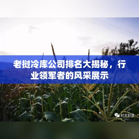 老挝冷库公司排名大揭秘，行业领军者的风采展示