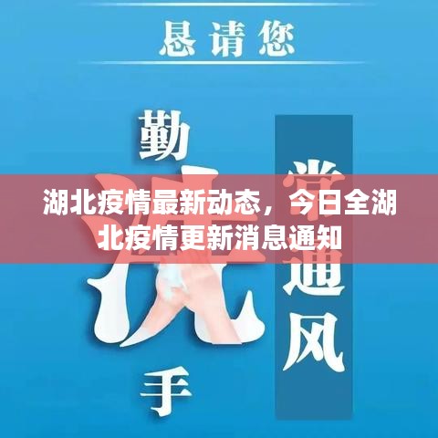 湖北疫情最新动态，今日全湖北疫情更新消息通知