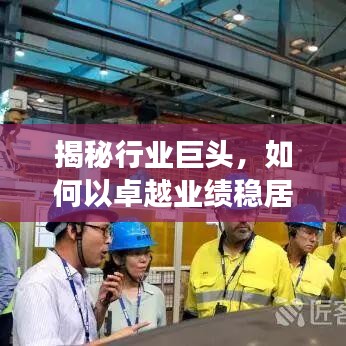 揭秘行业巨头,如何以卓越业绩稳居收入榜首,引领行业潮流发展?