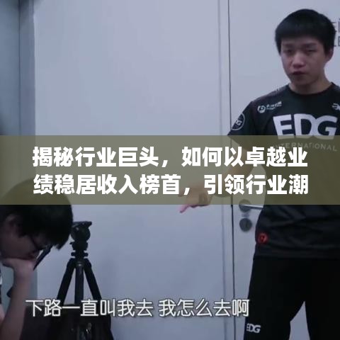 揭秘行业巨头,如何以卓越业绩稳居收入榜首,引领行业潮流发展?