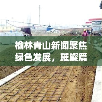 榆林青山新闻聚焦绿色发展，璀璨篇章展现生态魅力