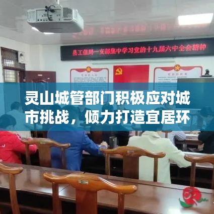 灵山城管部门积极应对城市挑战,倾力打造宜居环境新闻头条