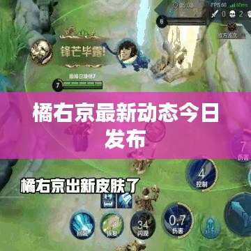 橘右京最新动态今日发布