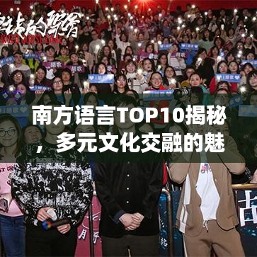 南方语言TOP10揭秘，多元文化交融的魅力之地